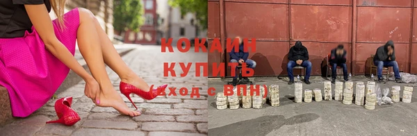 ECSTASY Бородино