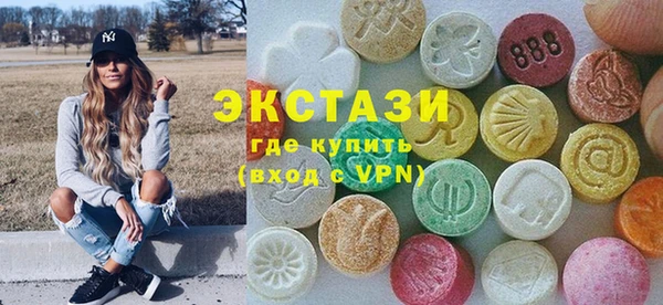 ECSTASY Бородино