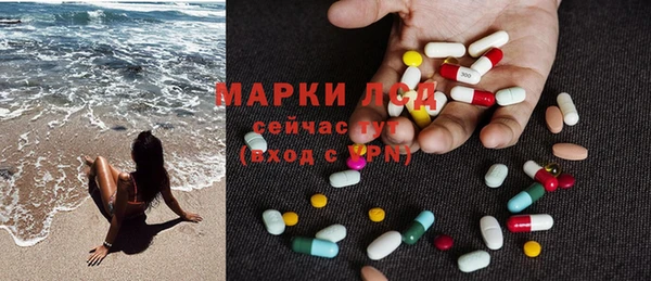 ECSTASY Бородино