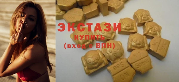 ECSTASY Бородино