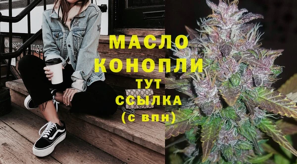 ECSTASY Бородино
