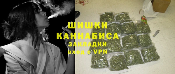 тгк Санкт-Петербург