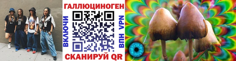 магазин  наркотиков  Бузулук  Галлюциногенные грибы MAGIC MUSHROOMS 